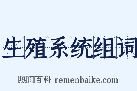 生殖系统组词是什么意思的图片